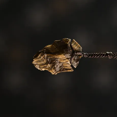 Tiger's Eye